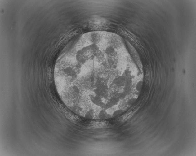 X0000066950469200604211820