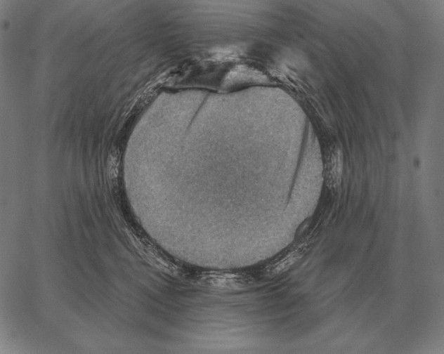 X0000066950472200604211820