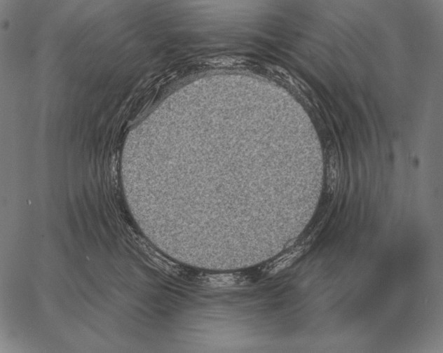 X0000066950473200604211820