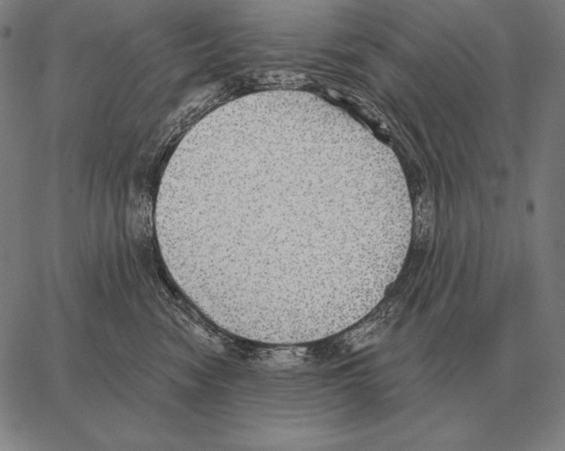 X0000066950474200604211820