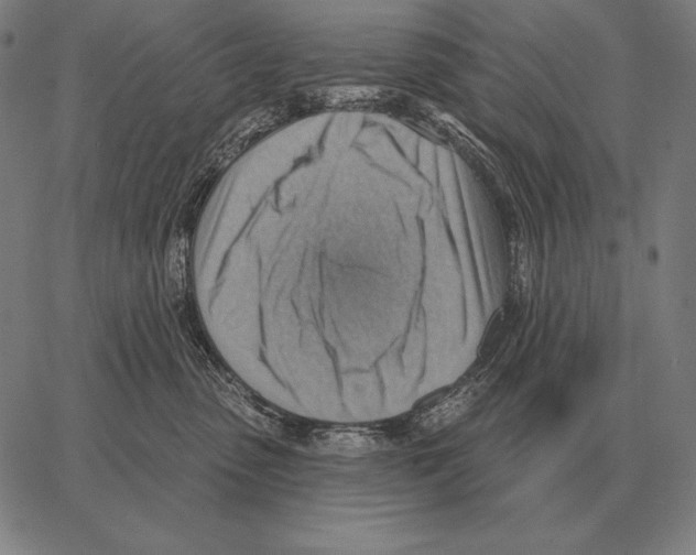 X0000066950475200604211820