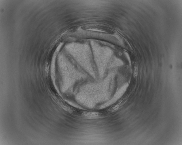 X0000066950476200604211820