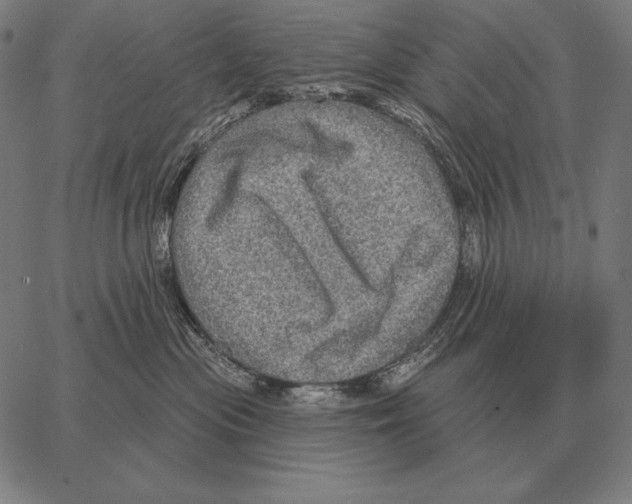 X0000066950477200604211820