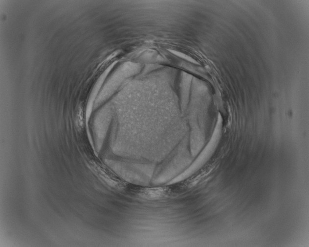 X0000066950479200604211820