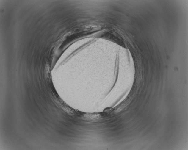 X0000066950480200604211820