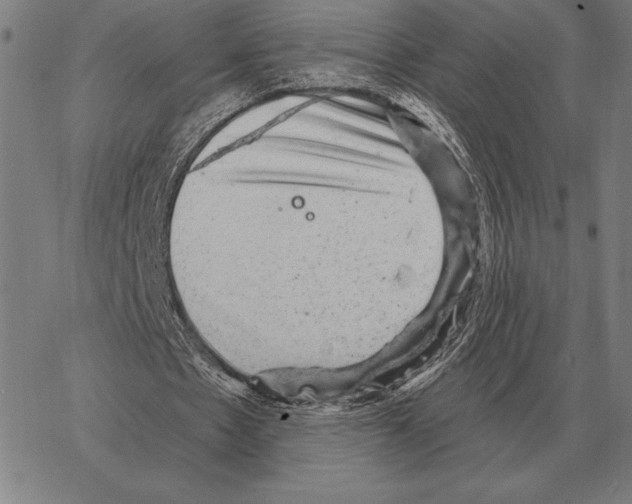 X0000066950481200604211819