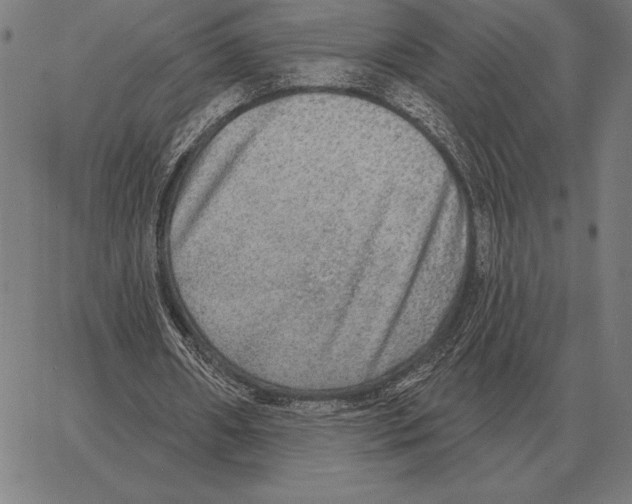 X0000066950482200604211819