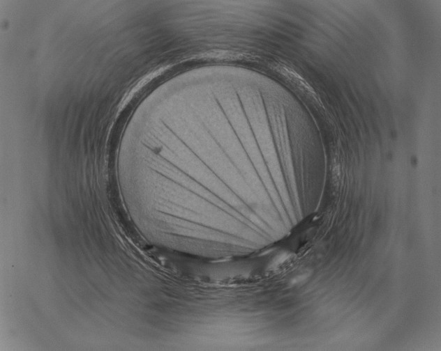 X0000066950484200604211819