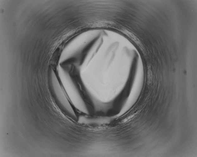 X0000066950485200604211819