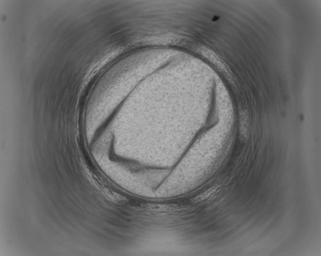 X0000066950486200604211819