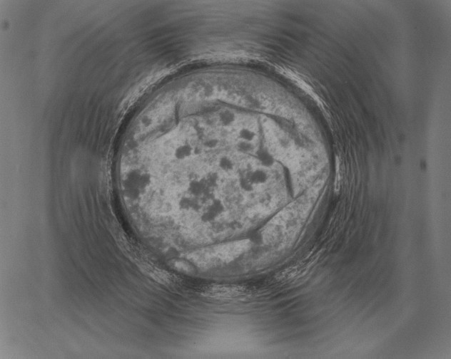 X0000066950487200604211819