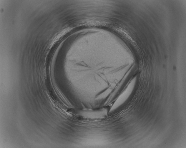 X0000066950488200604211819