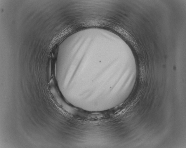 X0000066950489200604211819