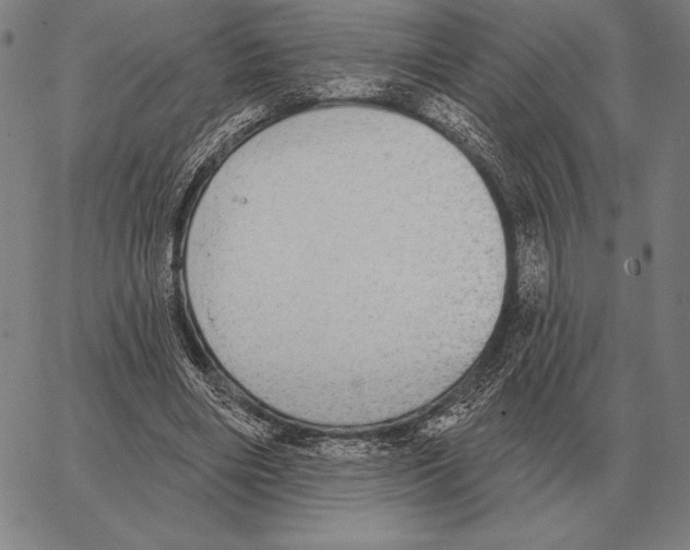 X0000066950490200604211819