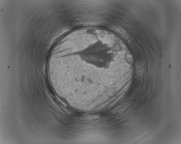 X0000066950491200604211819