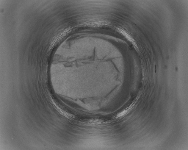 X0000066950493200604211819