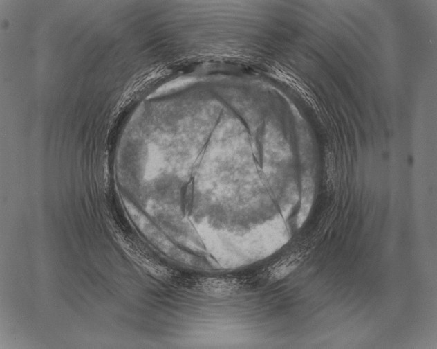 X0000066950494200604211819