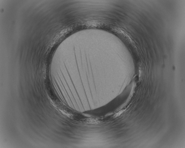 X0000066950496200604211819