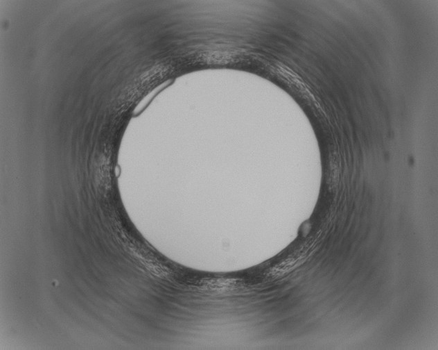 X0000066950497200604211819