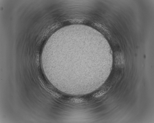 X0000066950498200604211819