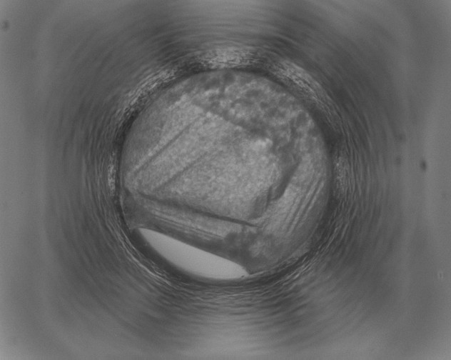 X0000066950499200604211819