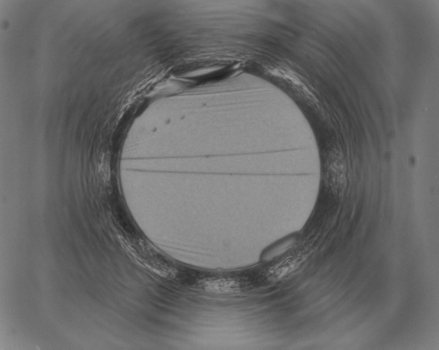 X0000066950500200604211819