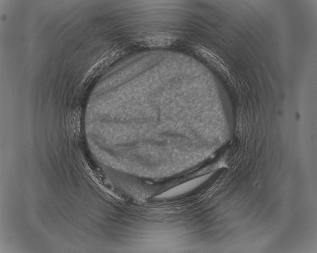 X0000066950501200604211819