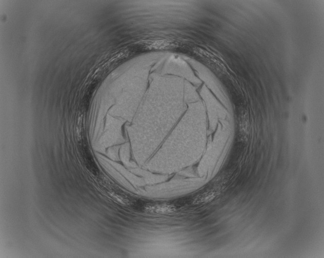 X0000066950503200604211819