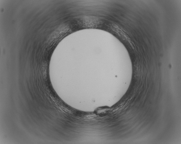 X0000066950505200604211819