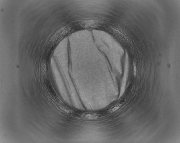 X0000066950506200604211819