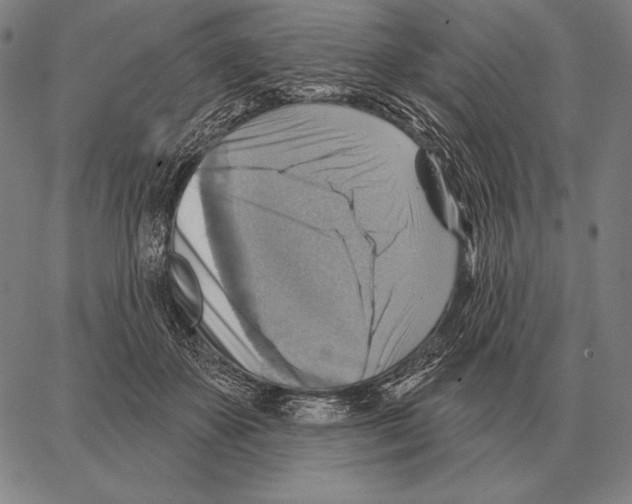 X0000066950507200604211819