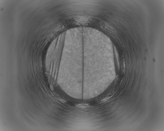 X0000066950508200604211819