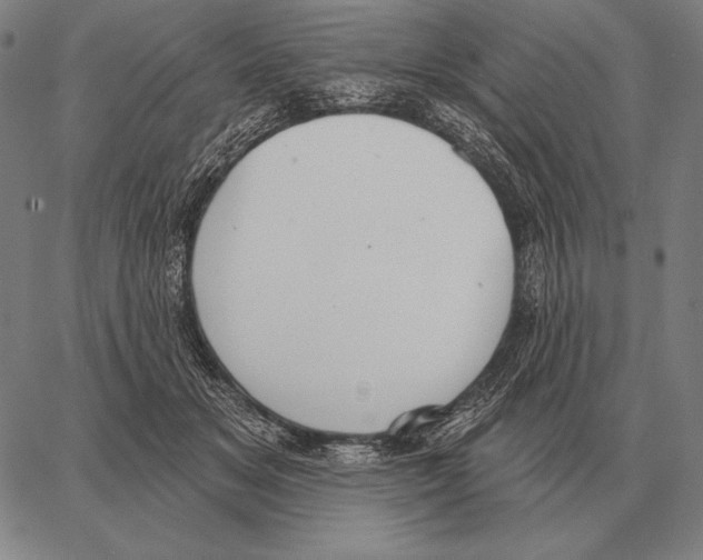 X0000066950509200604211819