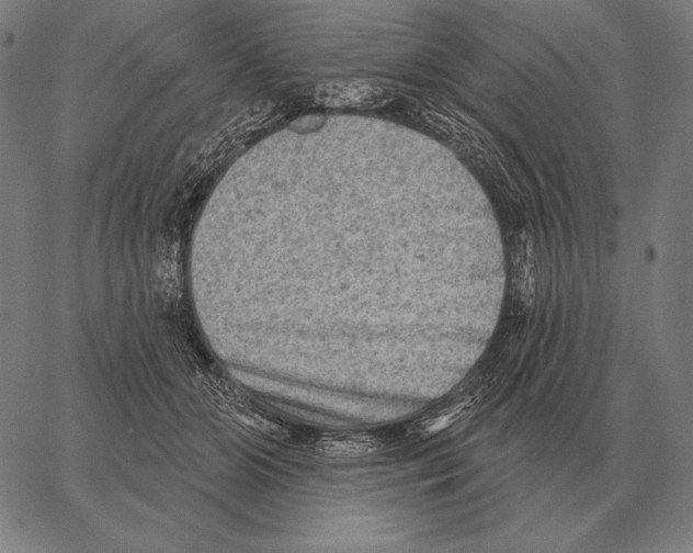 X0000066950510200604211819