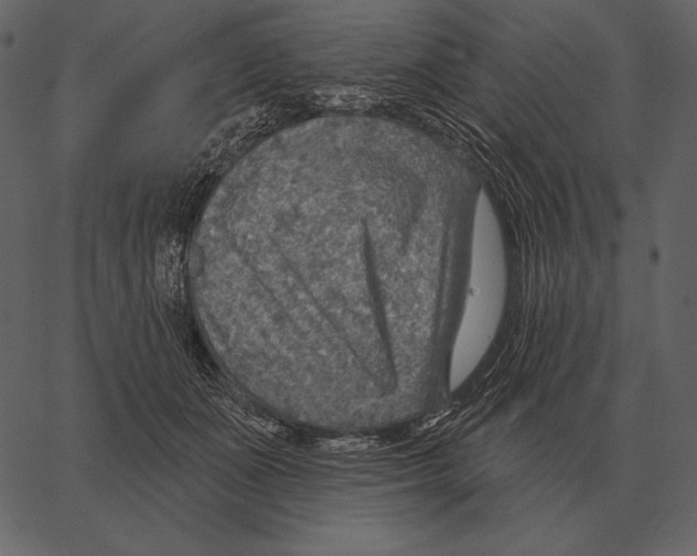 X0000066950511200604211818