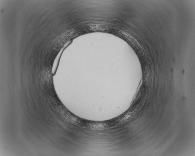 X0000066950513200604211818