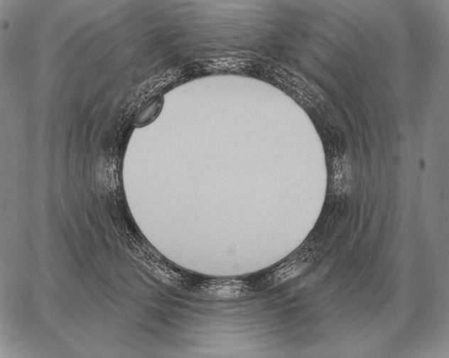 X0000066950514200604211818