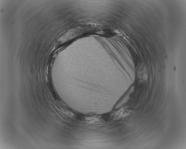 X0000066950516200604211818