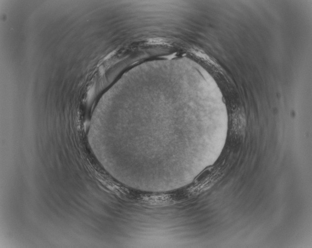 X0000066950517200604211818