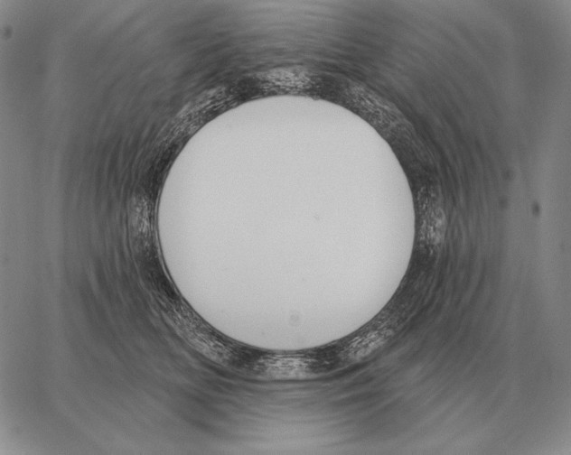 X0000066950518200604211818