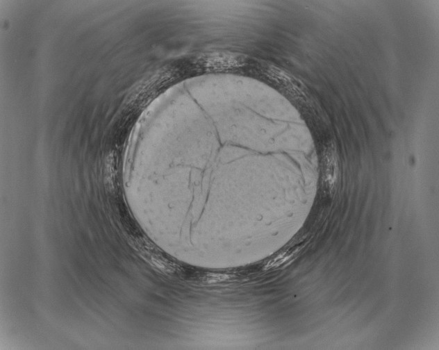 X0000066950519200604211818