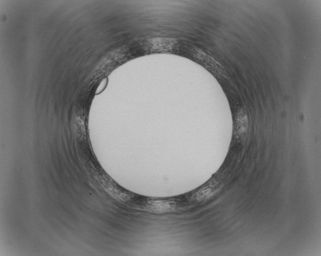 X0000066950522200604211818