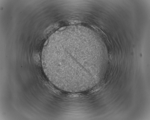 X0000066950523200604211818