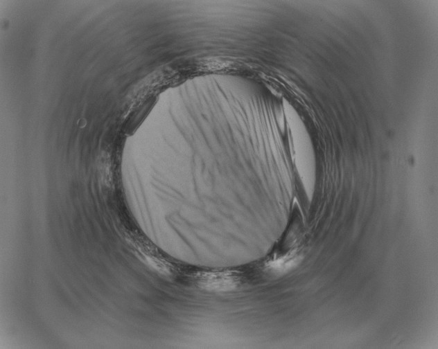 X0000066950524200604211818