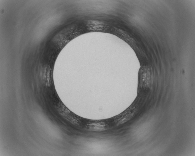 X0000066950525200604211818