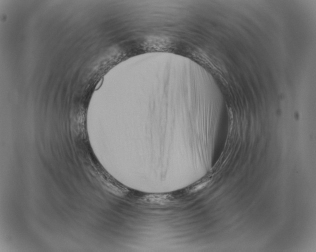 X0000066950526200604211818