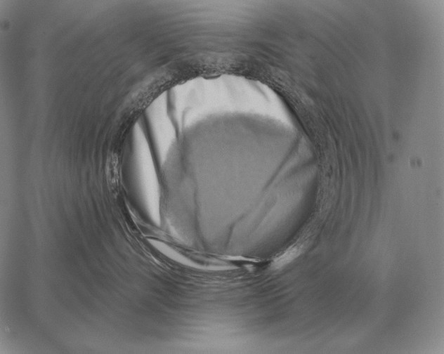 X0000066950528200604211818