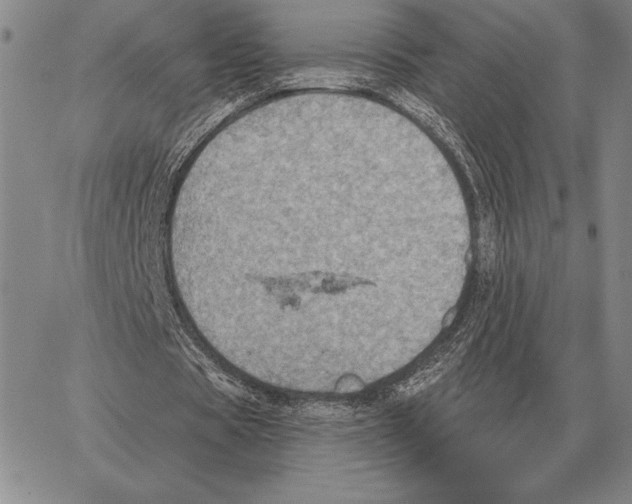 X0000066950529200604211817