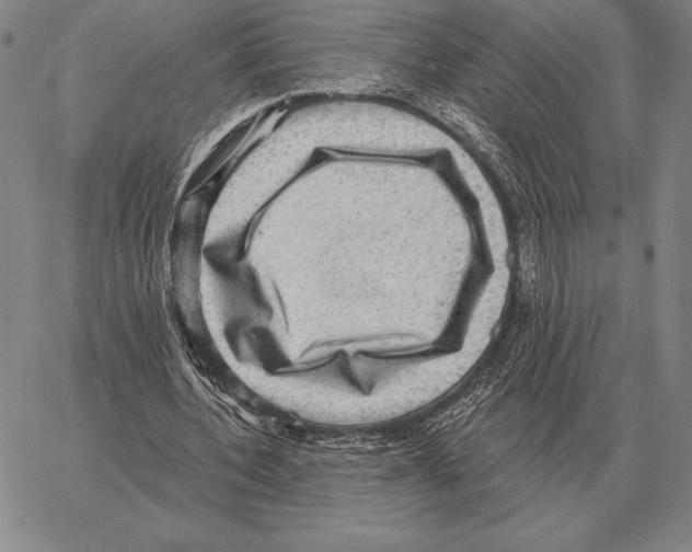 X0000066950532200604211817