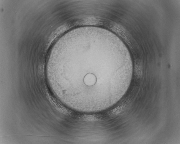 X0000066950534200604211818